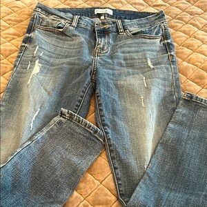 Women's Studio Blue Denim Jeans